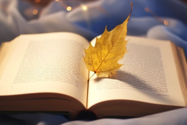 内蒙古师范大学的艺术学院是在盛乐吗？还有·军训严么？ 到新校后的体检严吗？跪求~答案