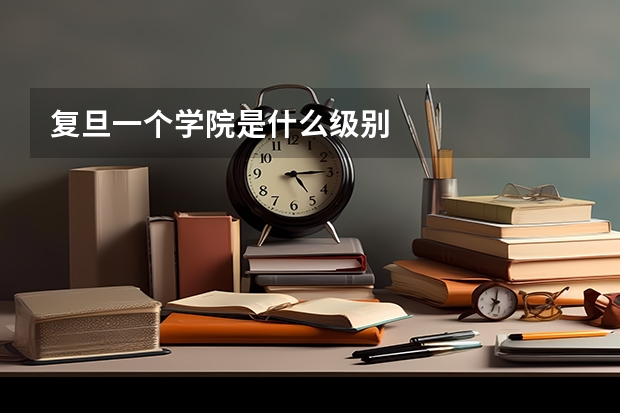 复旦一个学院是什么级别