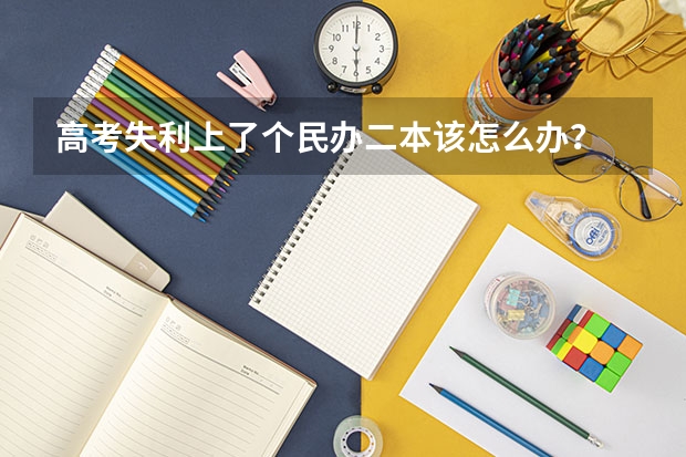 高考失利上了个民办二本该怎么办？