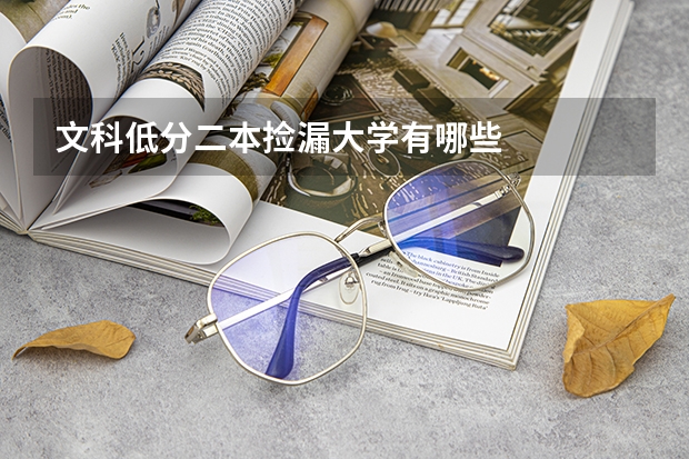 文科低分二本捡漏大学有哪些