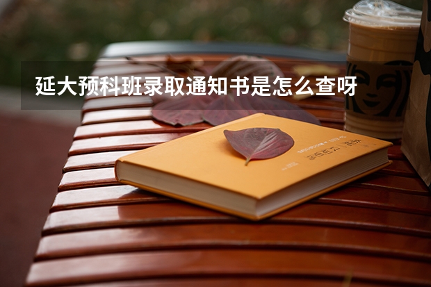 延大预科班录取通知书是怎么查呀