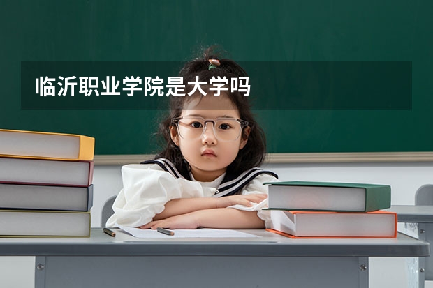 临沂职业学院是大学吗