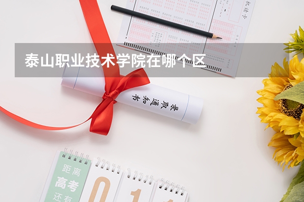 泰山职业技术学院在哪个区