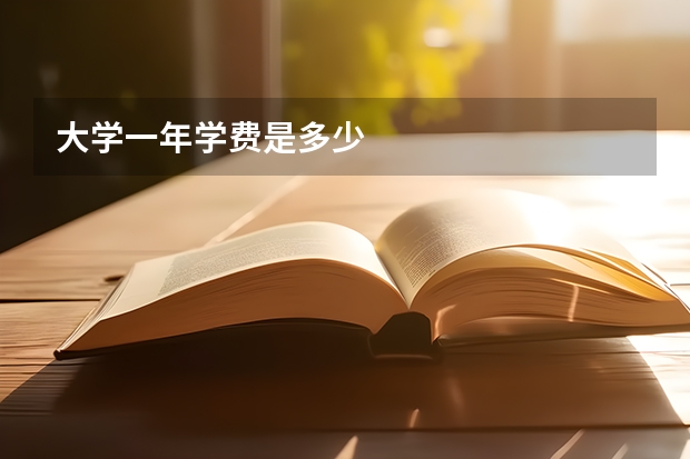 大学一年学费是多少