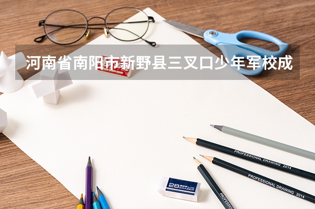 河南省南阳市新野县三叉口少年军校成绩单(第二批分数线(第二批分数线初中))