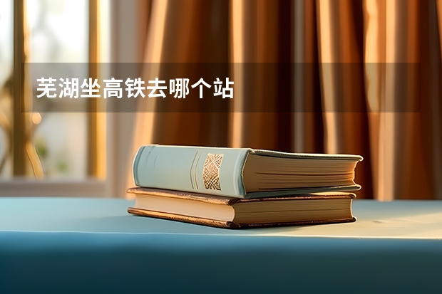芜湖坐高铁去哪个站