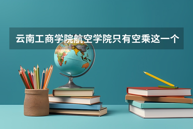 云南工商学院航空学院只有空乘这一个吗？