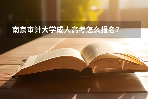 南京审计大学成人高考怎么报名？