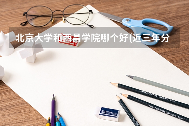 北京大学和西昌学院哪个好(近三年分数线一览)