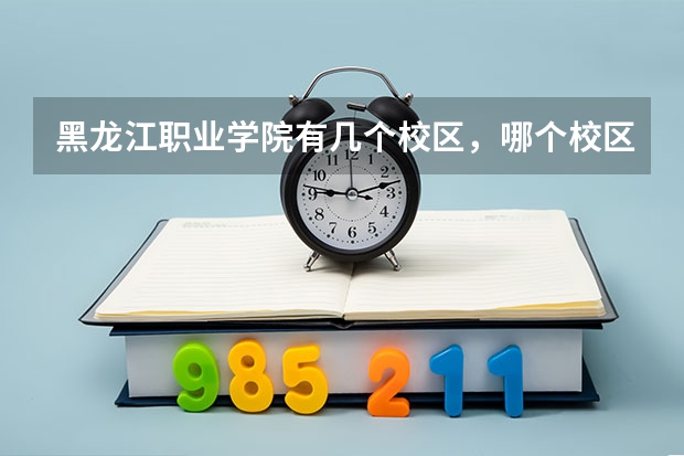 黑龙江职业学院有几个校区，哪个校区好一些？