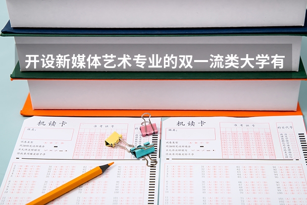 开设新媒体艺术专业的双一流类大学有哪些