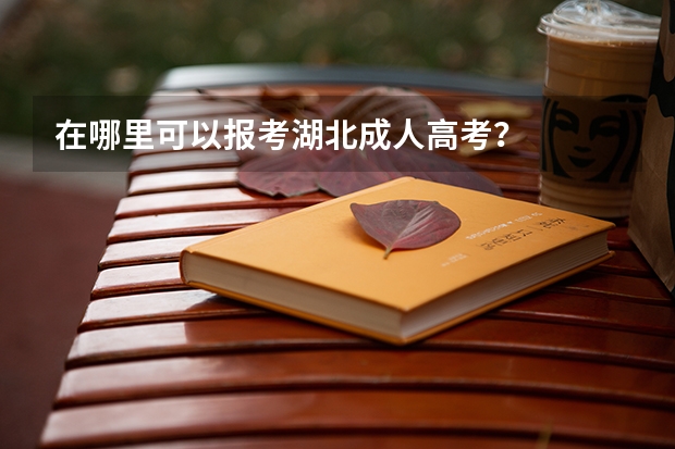 在哪里可以报考湖北成人高考？