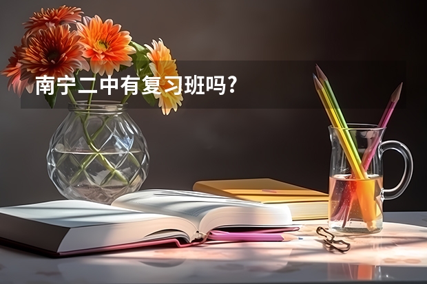 南宁二中有复习班吗?