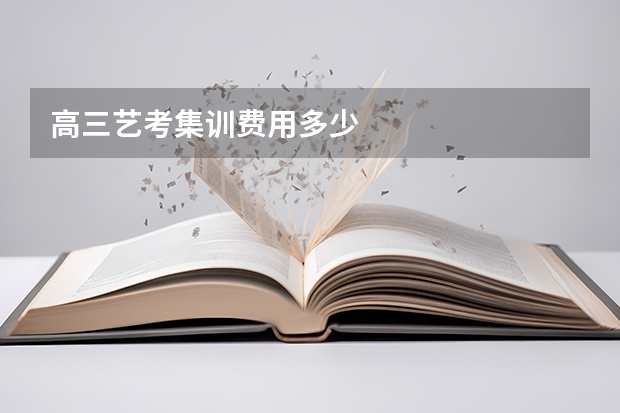 高三艺考集训费用多少