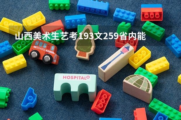 山西美术生艺考193文259省内能上什么学校？