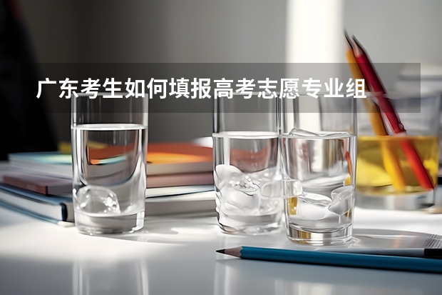 广东考生如何填报高考志愿专业组