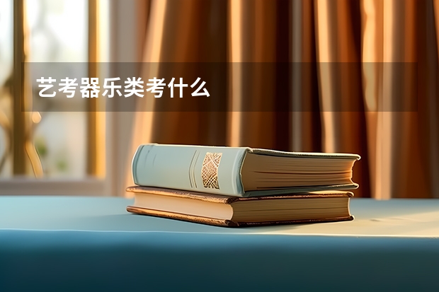 艺考器乐类考什么
