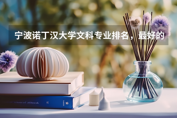 宁波诺丁汉大学文科专业排名，最好的专业有哪些