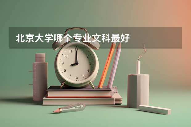 北京大学哪个专业文科最好