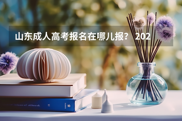 山东成人高考报名在哪儿报？ 2024年函授报名入口官网