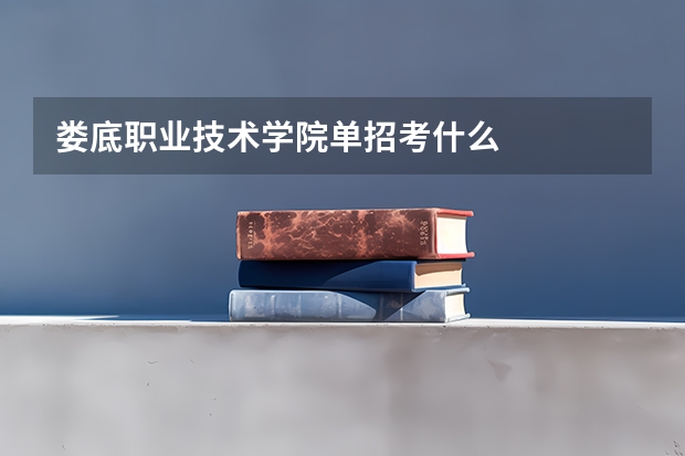 娄底职业技术学院单招考什么