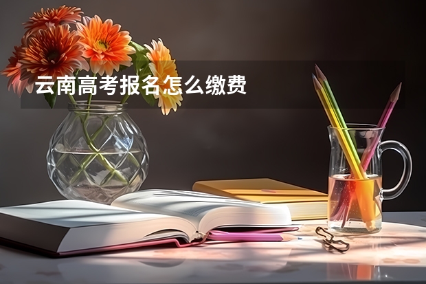 云南高考报名怎么缴费