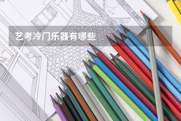 艺考冷门乐器有哪些