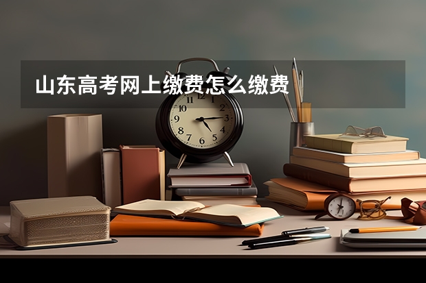 山东高考网上缴费怎么缴费