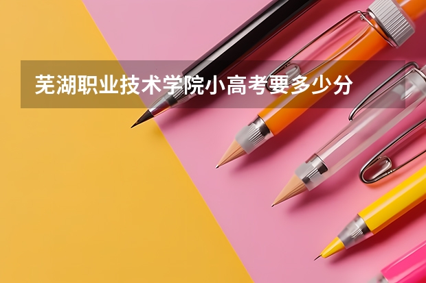 芜湖职业技术学院小高考要多少分