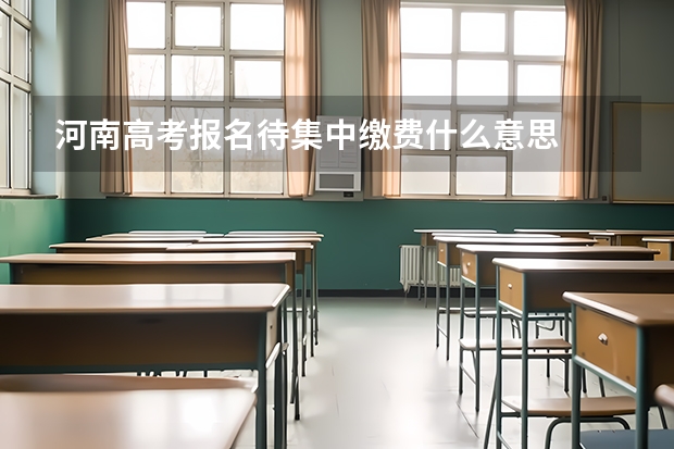 河南高考报名待集中缴费什么意思