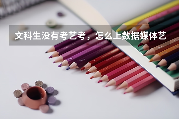 文科生没有考艺考，怎么上数据媒体艺术专业