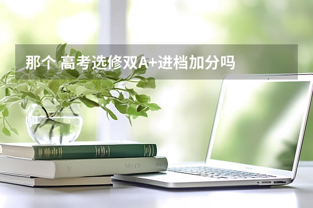 那个 高考选修双A+进档加分吗