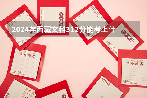 2024年西藏文科312分能考上什么大学？