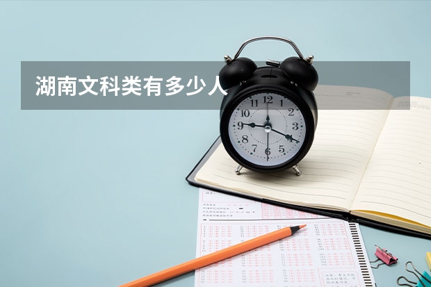 湖南文科类有多少人
