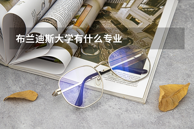 布兰迪斯大学有什么专业