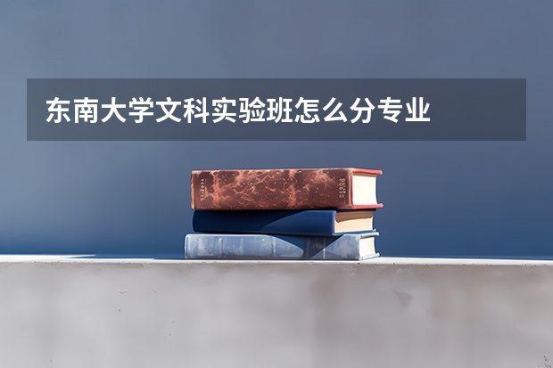 东南大学文科实验班怎么分专业