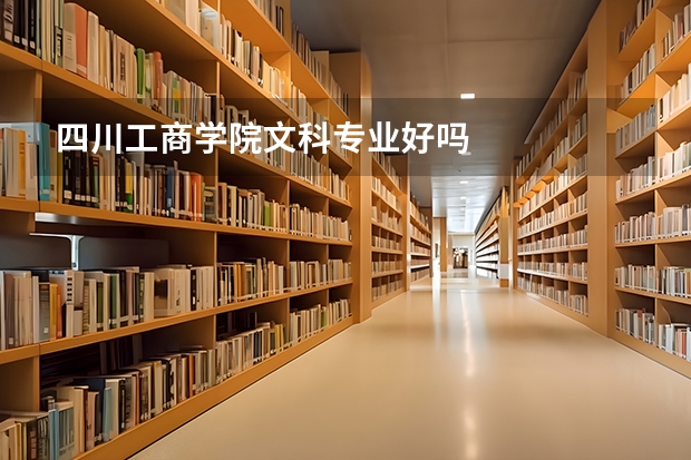 四川工商学院文科专业好吗
