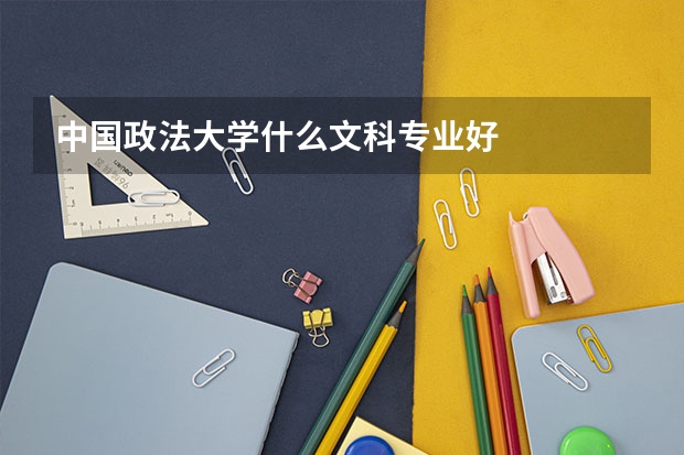 中国政法大学什么文科专业好