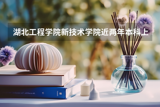 湖北工程学院新技术学院近两年本科上升分数是多少
