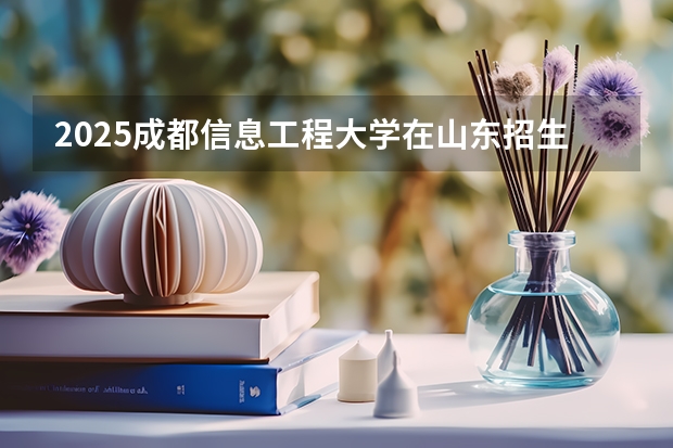 2025成都信息工程大学在山东招生计划预测